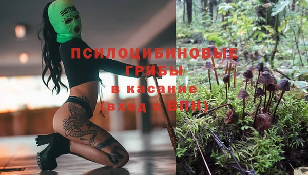 соль ск Богданович