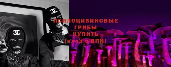 соль ск Богданович