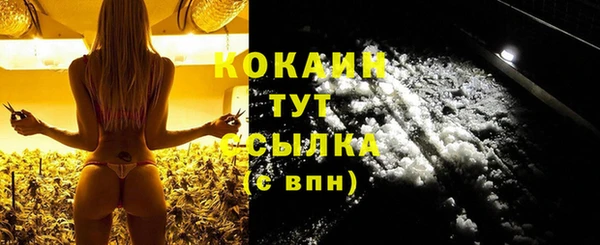 прущие грибы Белокуриха