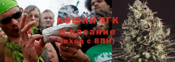 прущие грибы Белокуриха
