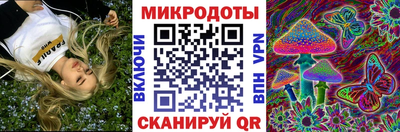 Галлюциногенные грибы Cubensis Вязьма