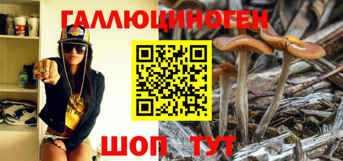 Галлюциногенные грибы Magic Shrooms  Псилоцибиновые грибы Psilocybe  Вход с VPN  где купить наркоту  Вязьма 