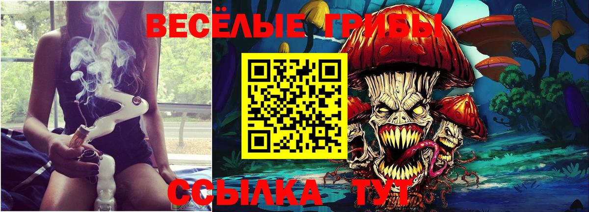 Галлюциногенные грибы Cubensis Вязьма